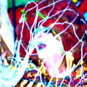 La mosca bianca di Roberto Gassi -finissage-ABSTRACT SYN-TAXIS