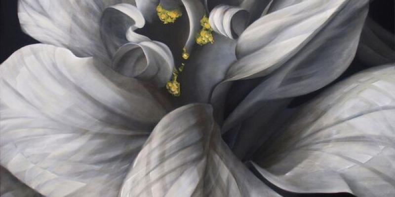 Contemporary Art Gallery Online Announces an International Call for Artists to Participate in the 2017 “ALL Botanicals” Art Competition & Exhibition