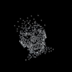 HIDDEN FACES/volti nascosti