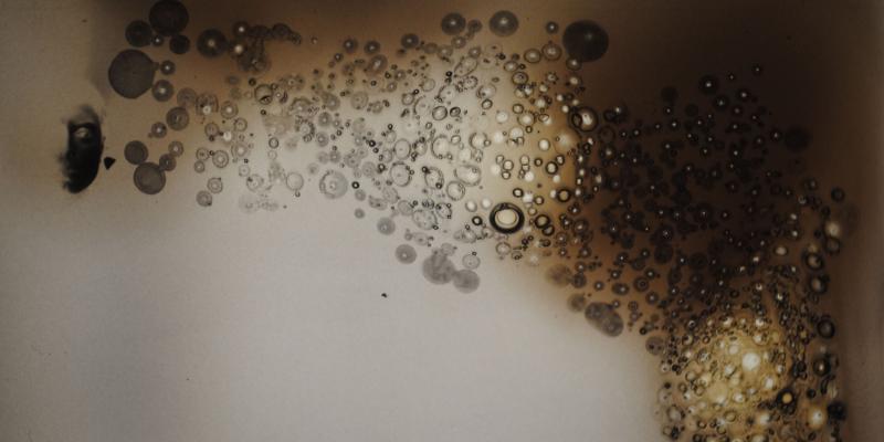 Il corpo solitario. L'autoscatto a cura di Giorgio Bonomi Il corpo solitario. L'autoscatto a cura di Giorgio Bonomi