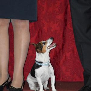 Intitolazione dell'Aula Magna al maestro Ghumbert di Cattolica Intitolazione dell'Aula Magna al maestro Ghumbert di Cattolica