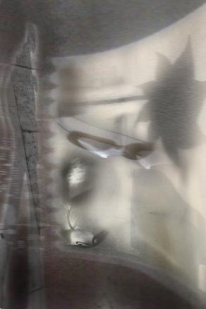 ombre adoro le ombre