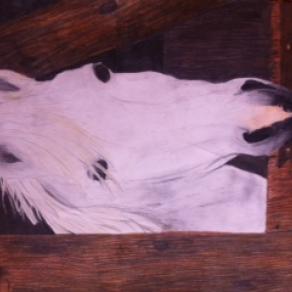 i primi quadri... soggetto: i cavalli !!!