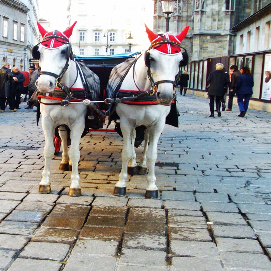   ...I VIAGGI DI TANYA (75)... 