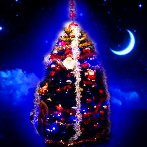 HO FATTO UN'ALBERO DI NATALE COSI' ALTO CHE LA VODAFONE MI HA CHIESTO SE PUO' INSTALLARE UN RIPETITORE !