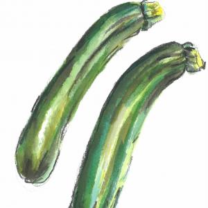 Der Kunstmarkt / Zucchini /1,04€ Der Kunstmarkt / Zucchini /1,04€