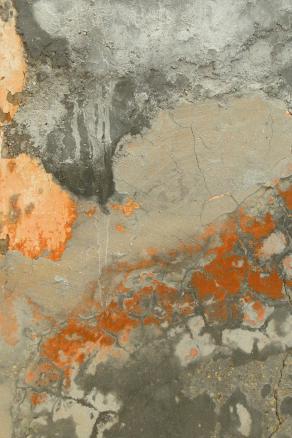 Immagine dal satellite