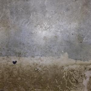 NATUROGRAFIA | SPAZIO 43.262121”N, 12.076073”E TEMPO 16.03.2016 - 05.04.2016