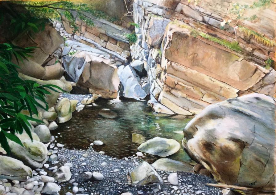 origine ed evoluzione 