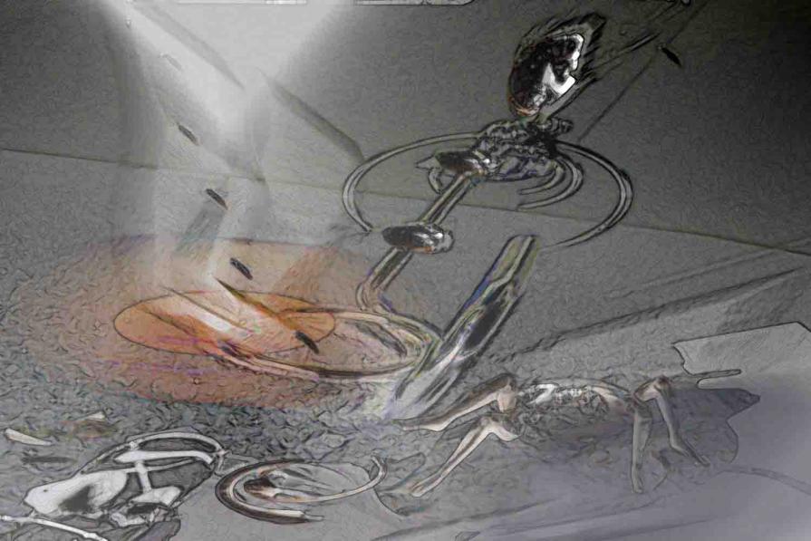 Last summer at hot days   -  الصيف الماضي خلال ايام حارة