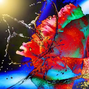 il mio caro Photoshop mi sussurra ..fai vedere  chi sei ??? <3 