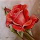 Rosa rossa