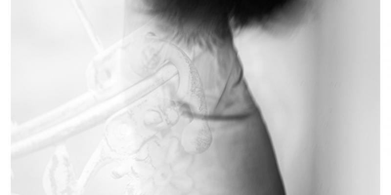 7a biennale di Ferrara 7a biennale di Ferrara