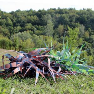 IO SONO QUEL CHE SONO  Postreality Test