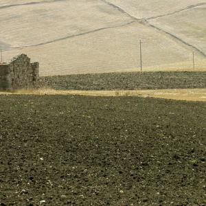 Italy. Basilicata. Matera and its lands