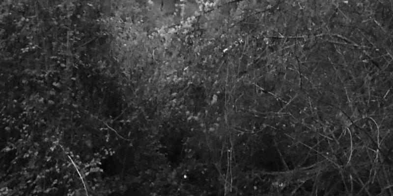 Corso di Fotografia e Diritto 