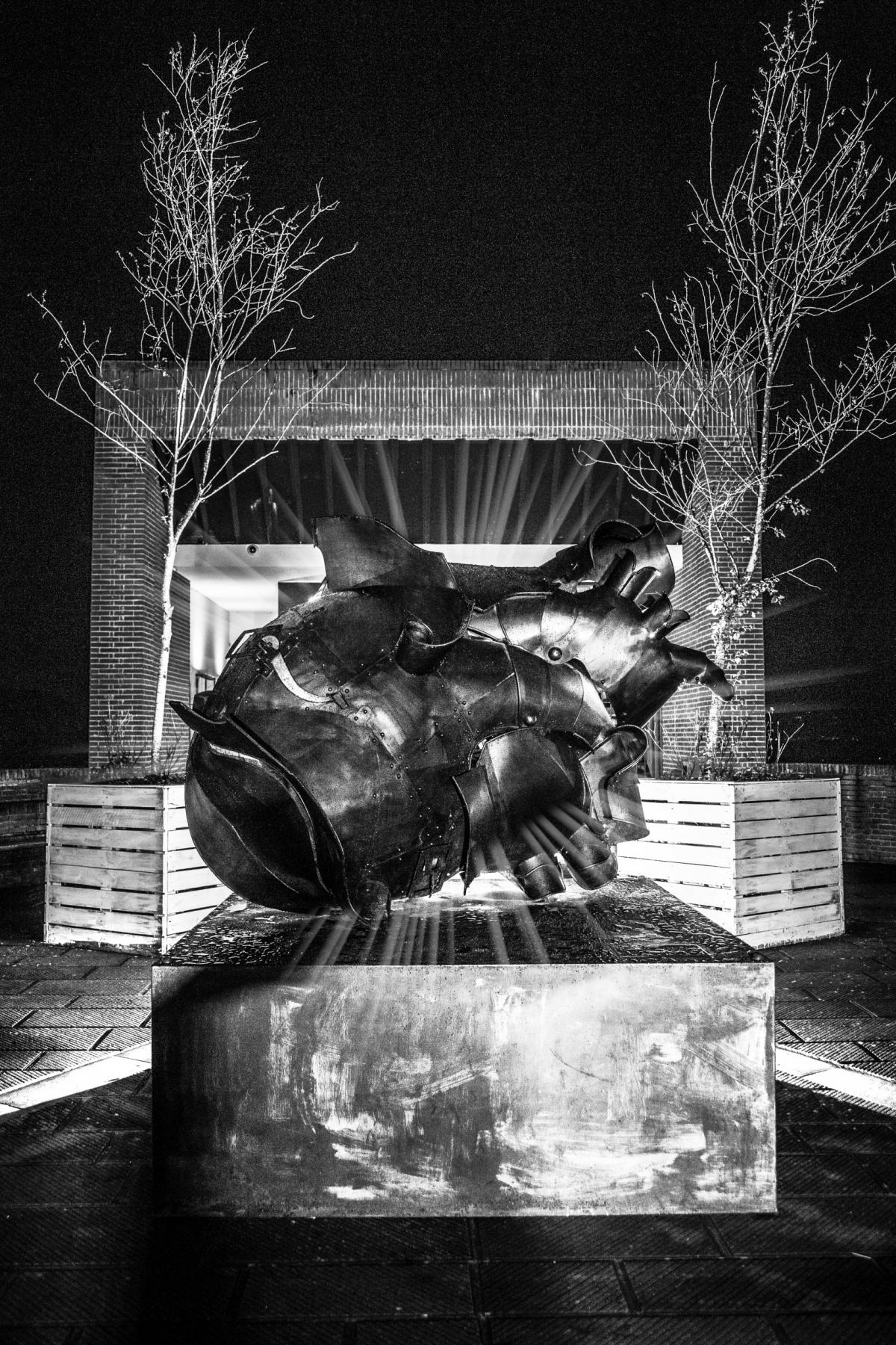 “Safety heart armour” - Alessandro Reggioli “Safety heart armour” - Alessandro Reggioli