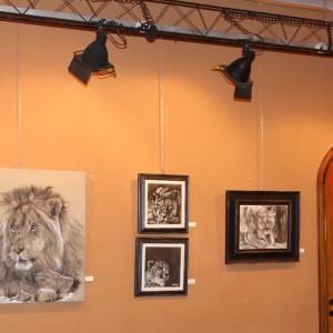 ANIMALS ART al Club La Meridiana di Modena