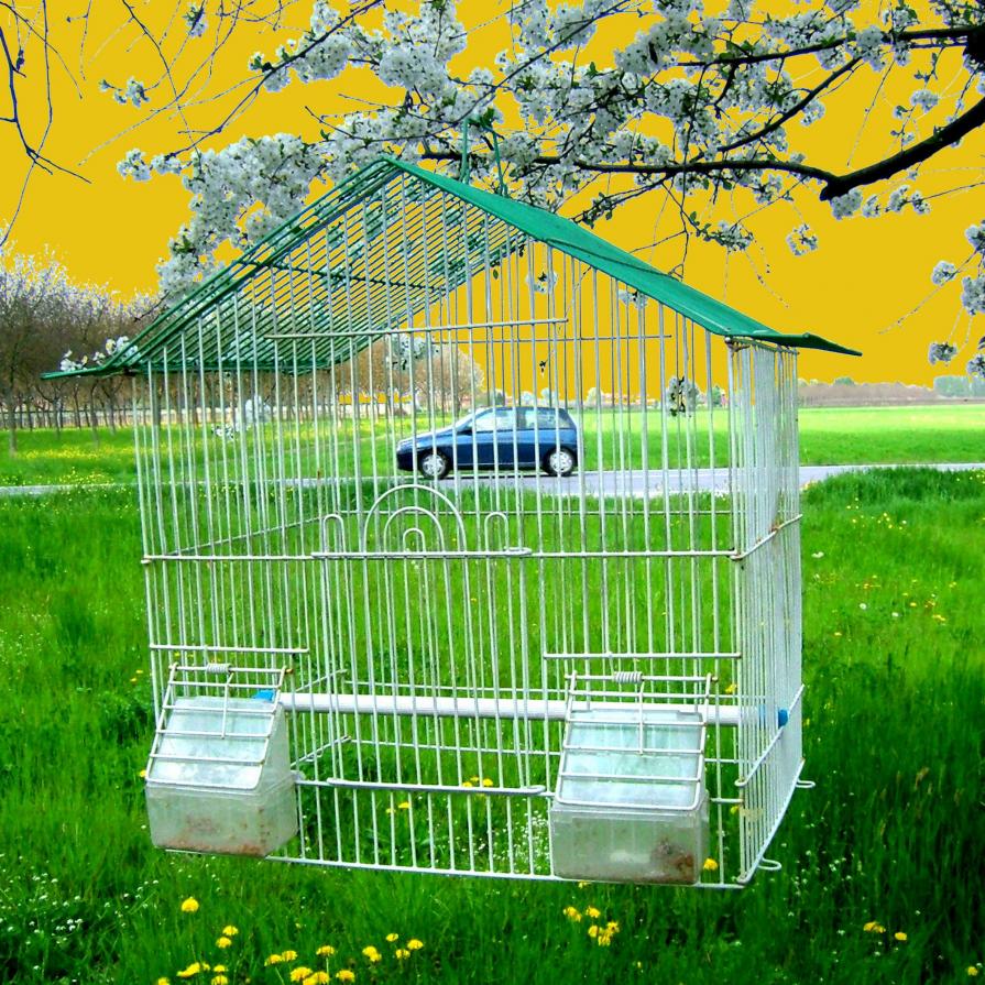 Condizione umana Condizione umana