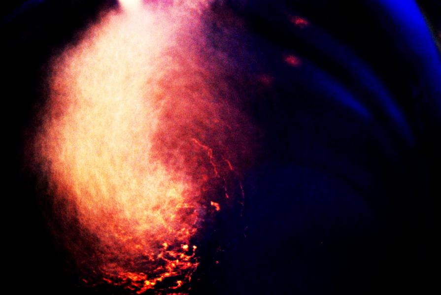 Universo: Vita Universo: Vita