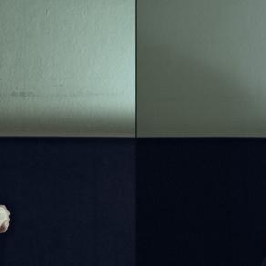 dalla serie Autoritratti_ n.2