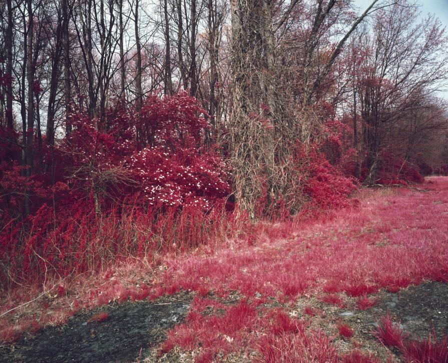 Route 72 (Not a just image, just an image)