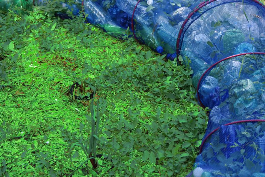 Dalla raccolta alla semina 6