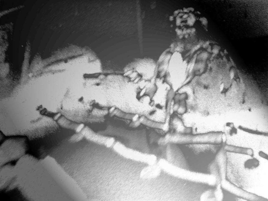 A lezione da Julian Schnabel.