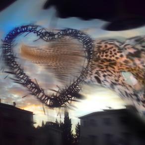 alba di una nuova vita stop alla mattanza,,,,,,