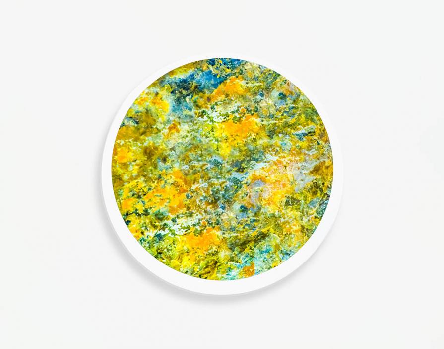 Volevo soltanto dipingere 