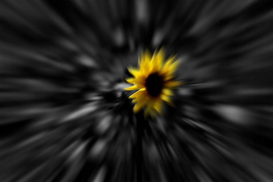 Impulso di vita   (Pulse of life) 