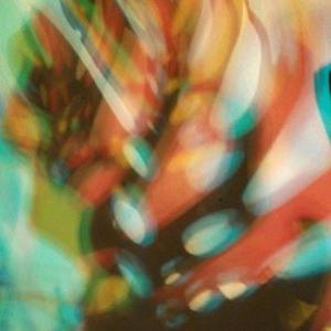 I colori della biodiversità -2015