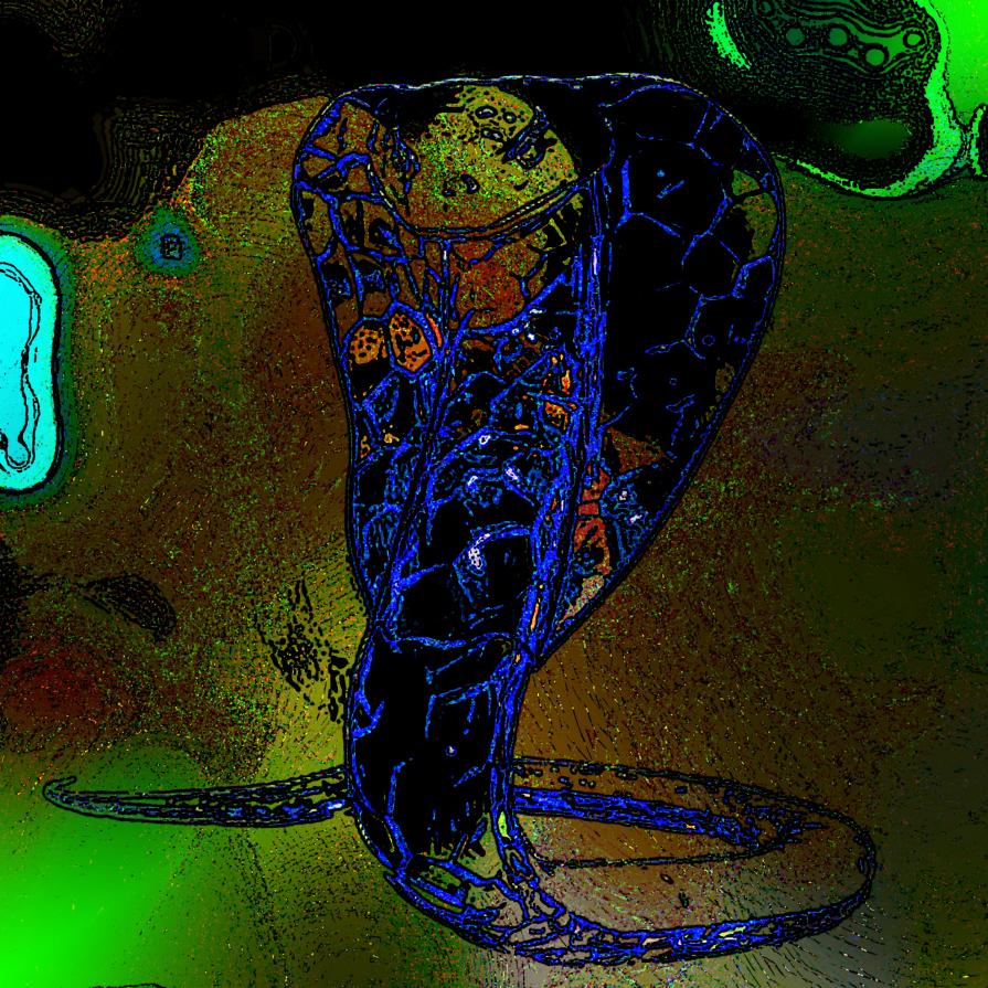 . . . IL BUIO COLMA IL GIORNO !!! . . . 