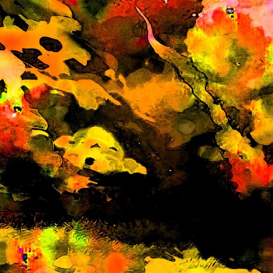 . . . IL SOLE PIU' NON C'E' !!! . . . 