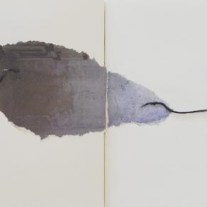 Autoritratto di un insetto Libro d'artista