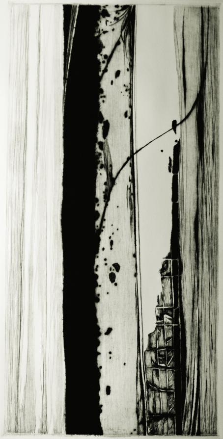 E' Natura #3 E' Natura #3