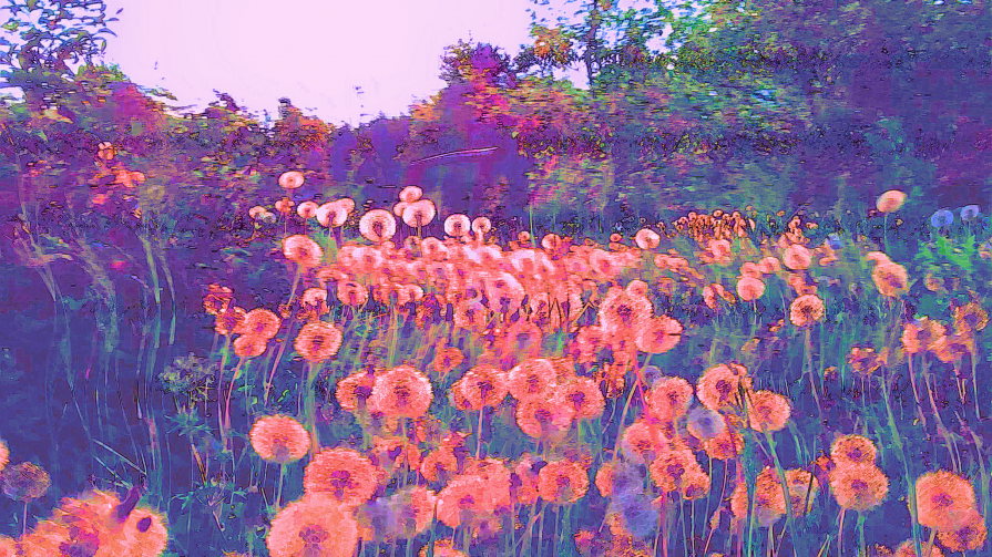 Leggerezza dei Sogni