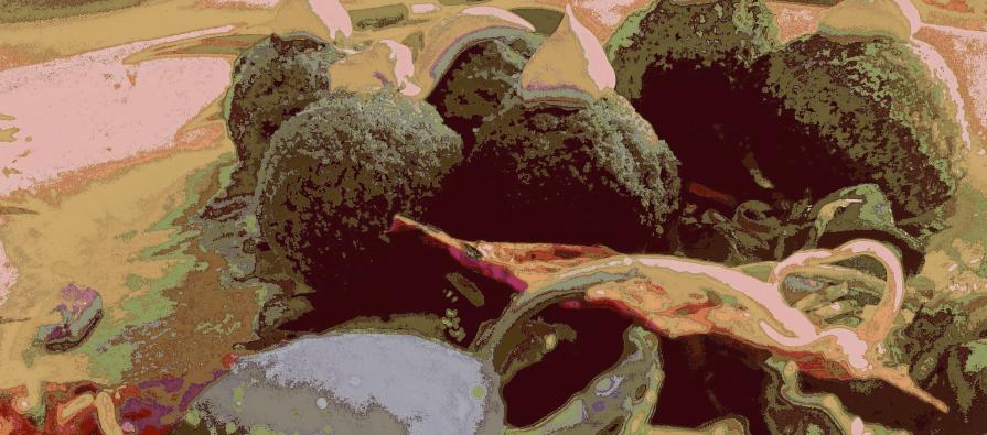 Albergo Tettorosa vicino al Lago Tramonti