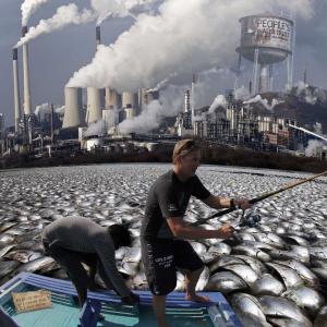 We have other fish to fry We have other fish to fry