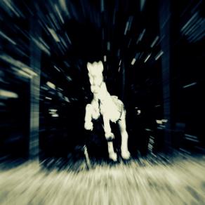 Il cavallino del sogno di ieri  - The pony of yesterday's dream - 