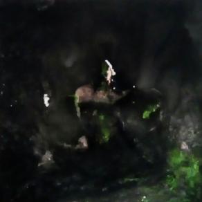 I predatori dell'Arca perduta.