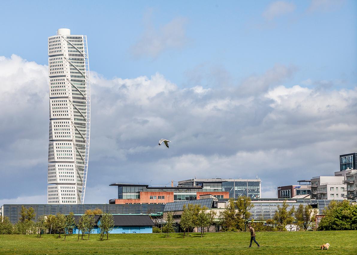 “Green Cities” di Loredana Celano “Green Cities” di Loredana Celano