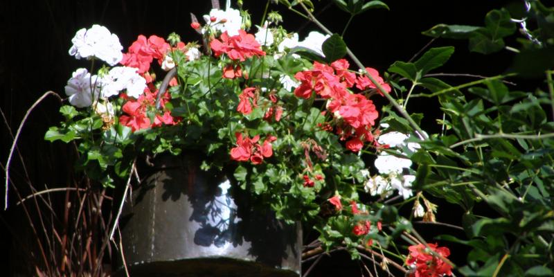 La prima mostra fotografica di Maristella Angeli è on-line!