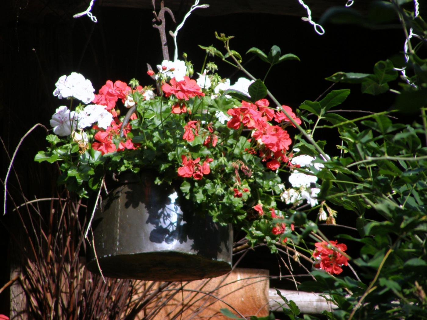 La prima mostra fotografica di Maristella Angeli è on-line!