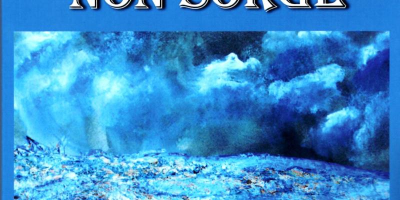 In copertina il dipinto di Maristella Angeli