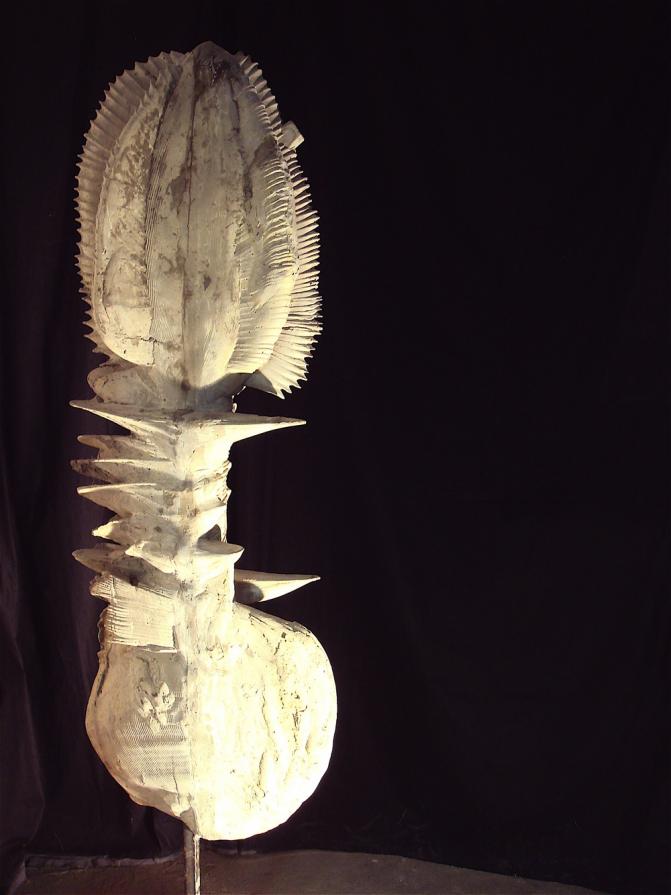 pianta, Gewächs, plant