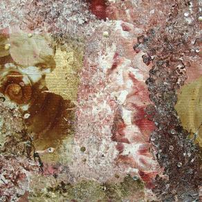 dettaglio Opera n.218 (opera partecipante al premio Celeste)