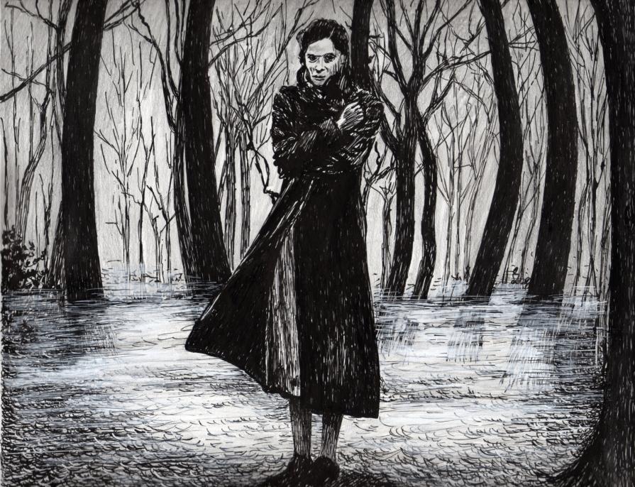 Il bosco nella brughiera Il bosco nella brughiera