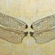 Dragonfly wings