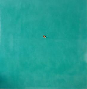 La solitudine voluta. 